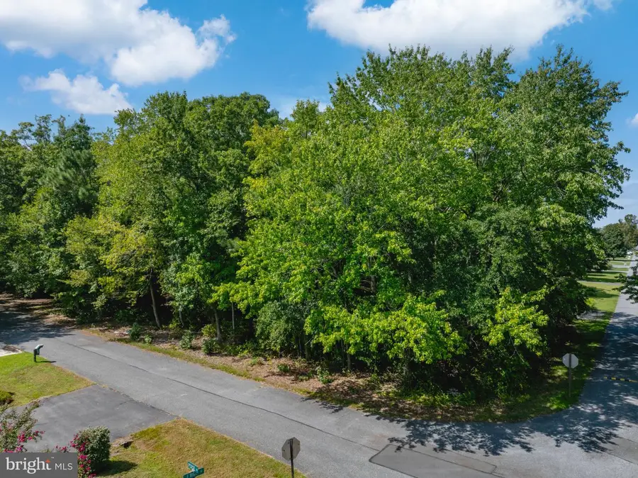 Lot 2 E Riga Dr, Ocean View, DE 19970 - #3