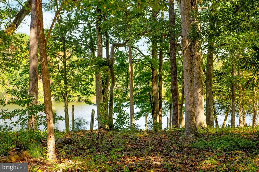 28701 Pine Lodge Ln, Millsboro, DE 19966 - #3