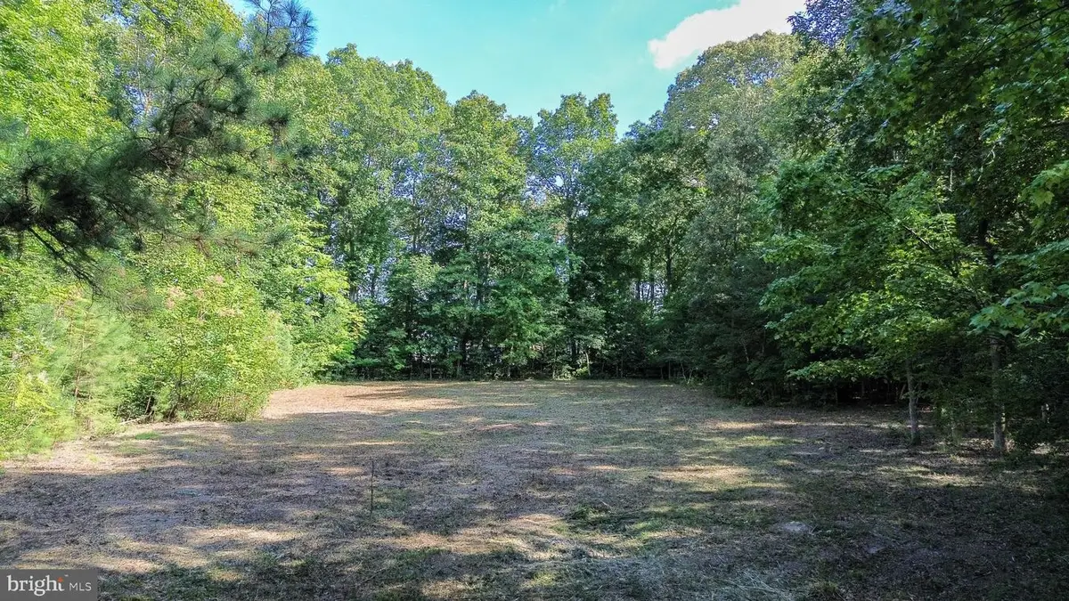 28923 Poplar Grove Dr, Milton, DE 19968 - #1
