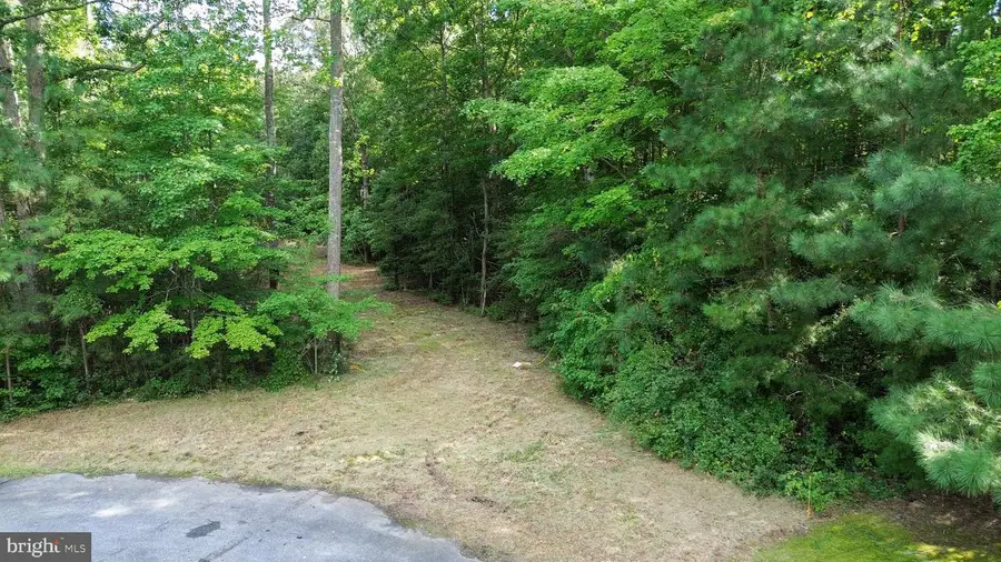 28923 Poplar Grove Dr, Milton, DE 19968 - #3