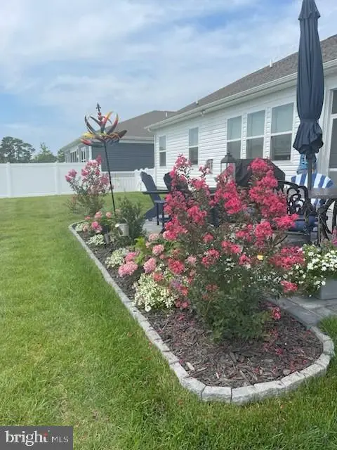 34224 Skyflower Loop, Lewes, DE 19958 - #2