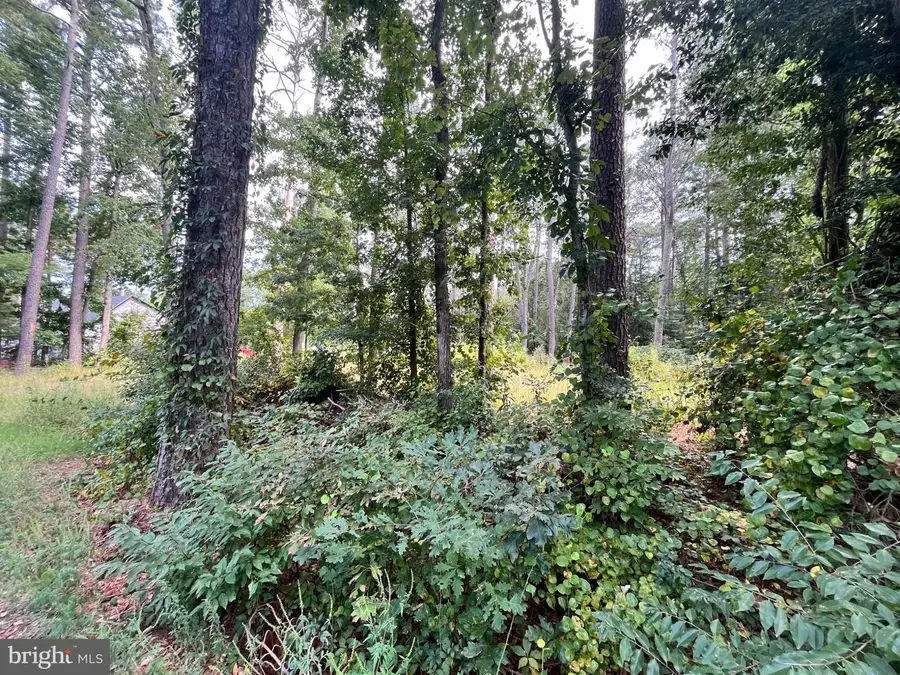 0 Holly Oak Dr #lot#6e, Laurel, DE 19956 - #3