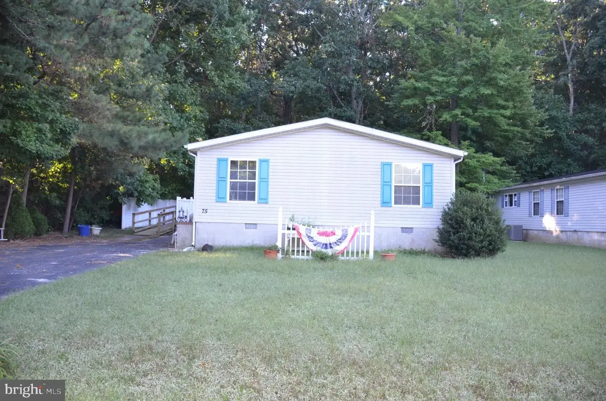 75 White Pine Dr, Millsboro, DE 19966 - #1