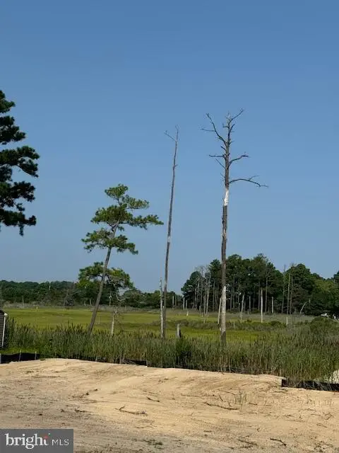 5 Cove View Rd, Millsboro, DE 19966 - #2