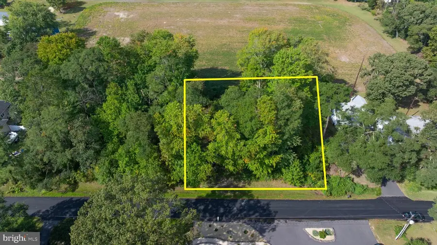 123 Pebble Dr #12, Dagsboro, DE 19939 - #3