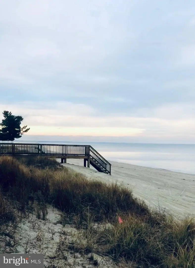 103 Isaacs Shore Dr, Milford, DE 19963 - #2