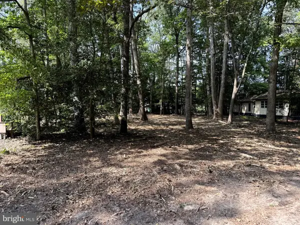 20178 Spruce Ave, LEWES, DE 19958