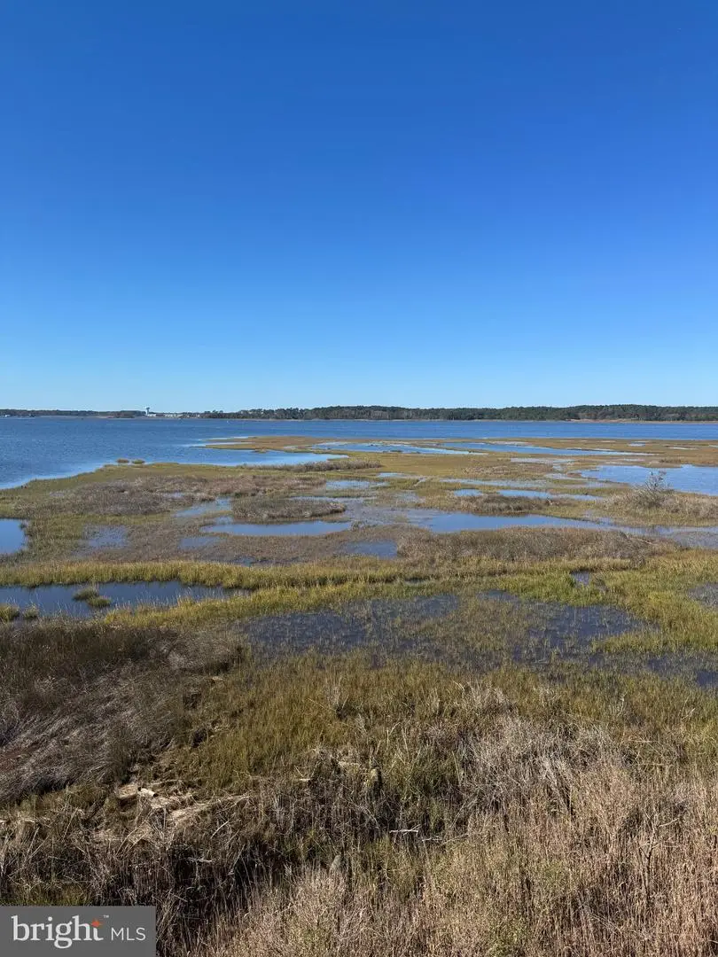 40004 Pelican Rd, Fenwick Island, DE 19944 - #2