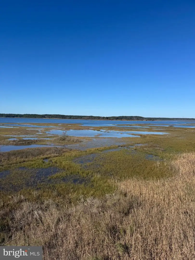 40004 Pelican Rd, Fenwick Island, DE 19944 - #3
