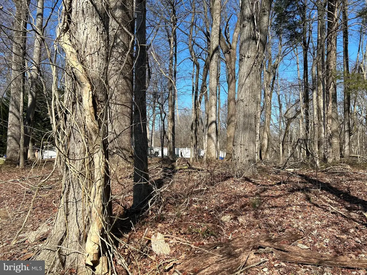 612 Traveller Ct, Lothian, MD 20711 - Image #1