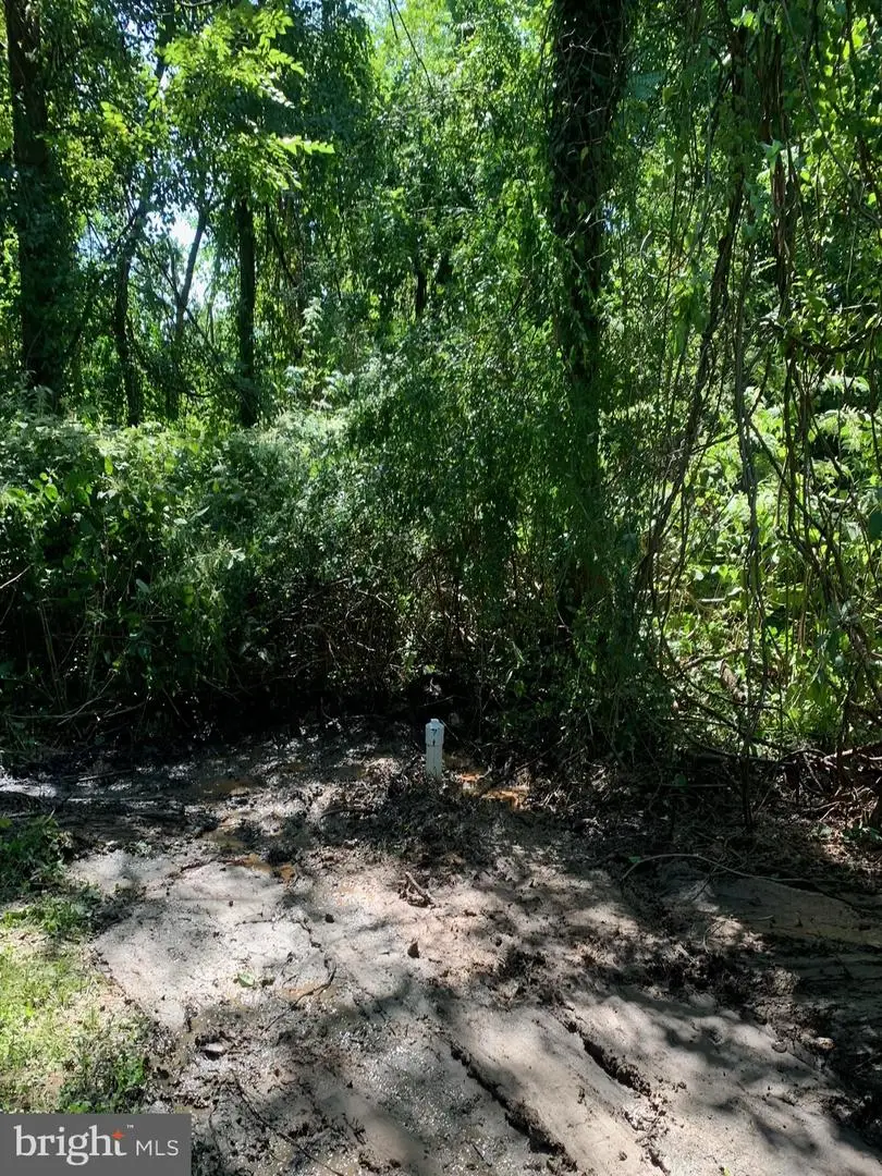 Ritchie Highway, Glen Burnie, MD 21060 - Image #3