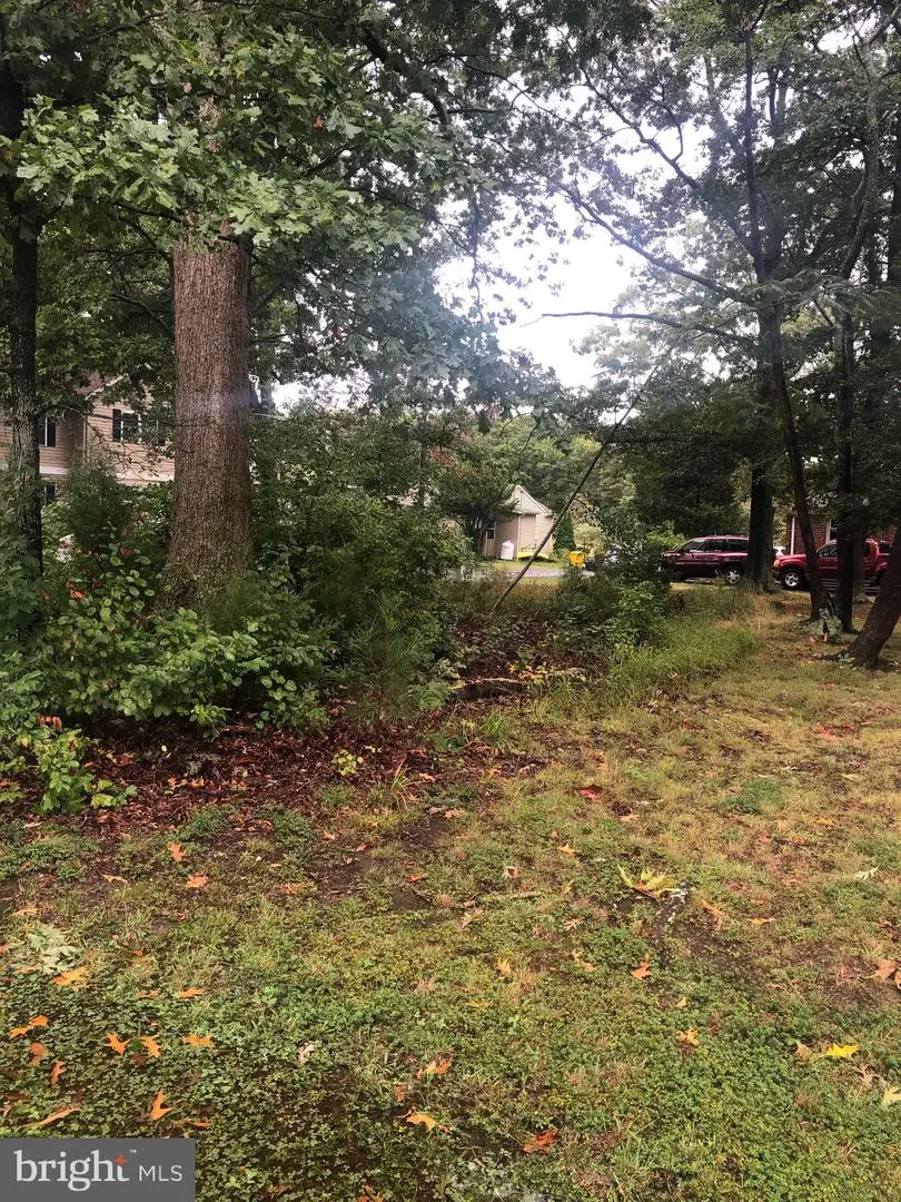 5250 Al Jones Dr, Shady Side, MD 20764 - Image #2