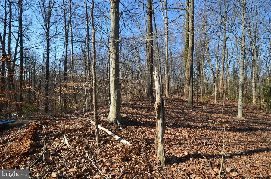 1013 Waterbury Heights Dr, Crownsville, MD 21032 - Image #2