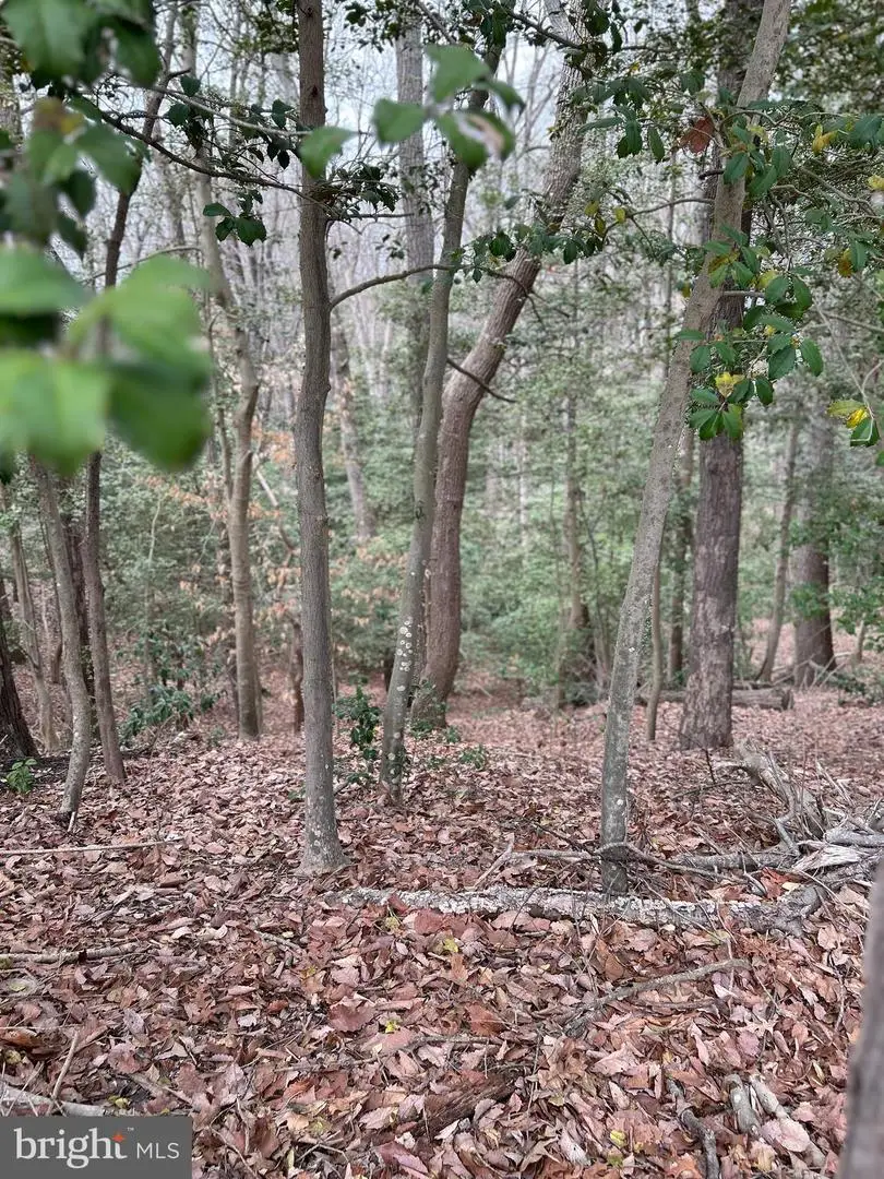 Beech Trl, Crownsville, MD 21032 - Image #2