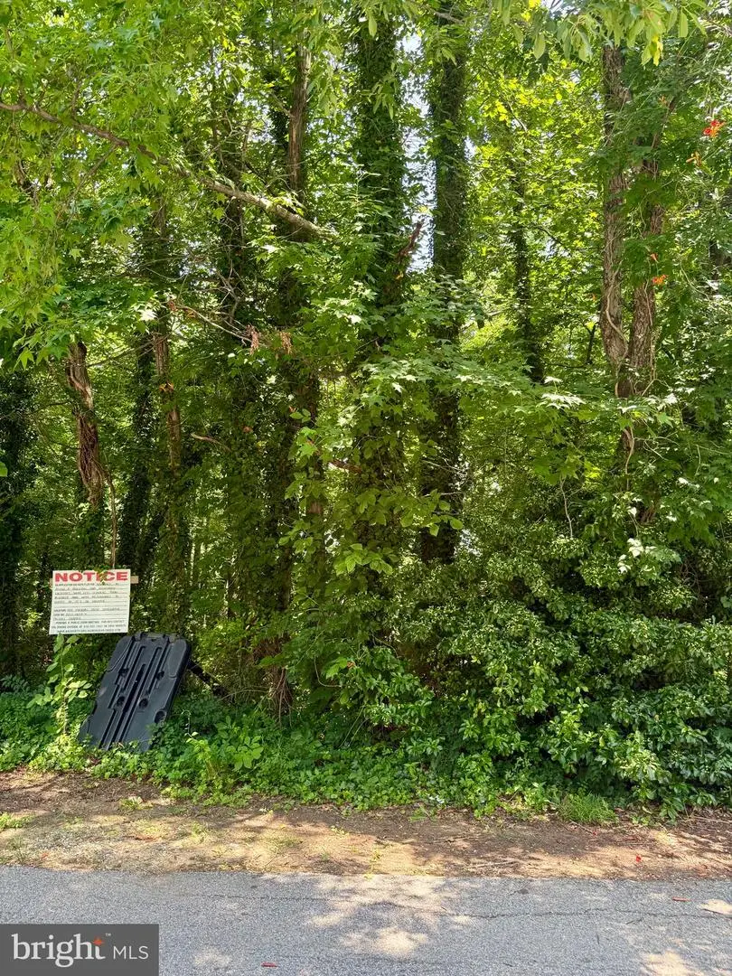 509 Overhill Dr, Edgewater, MD 21037 - Image #1