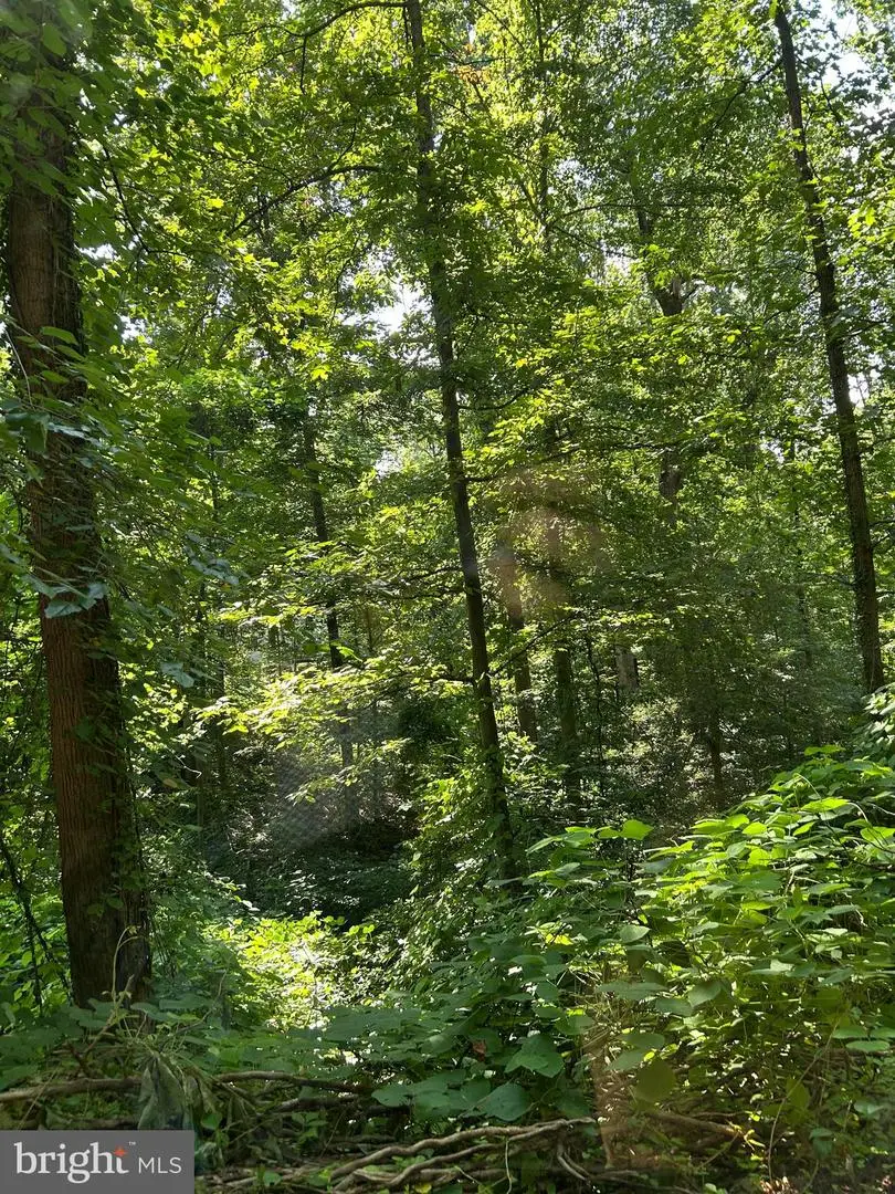 Yew Trl, Crownsville, MD 21032 - Image #1