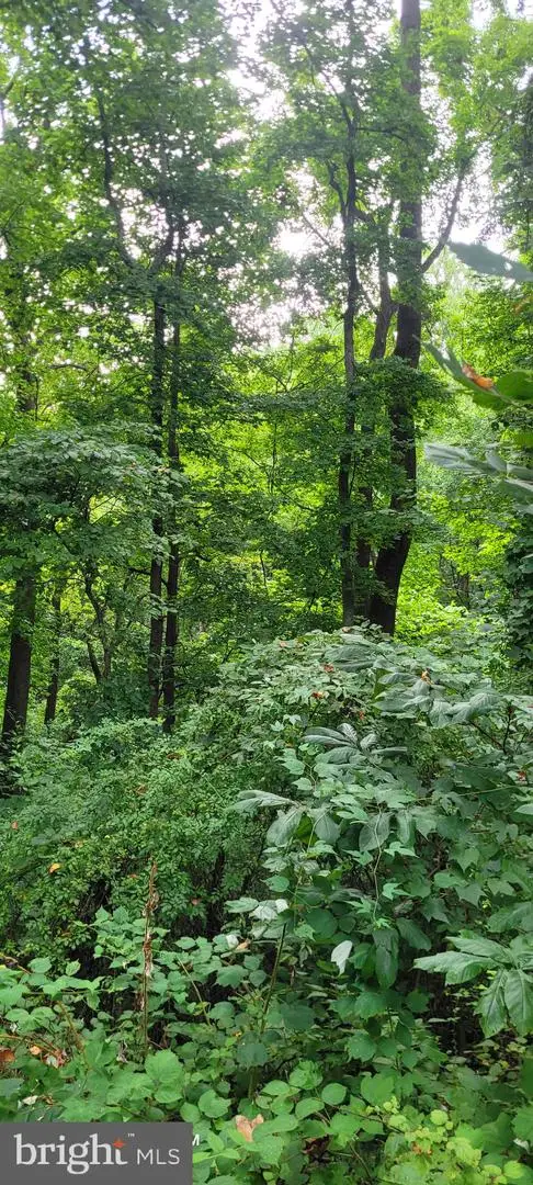 6281 Franklin Gibson Rd, Tracys Landing, MD 20779 - Image #3