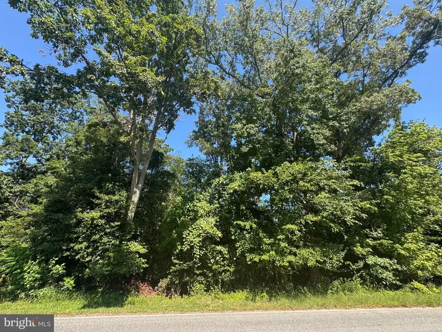 Maryland Ave, Pasadena, MD 21122 - Image #3