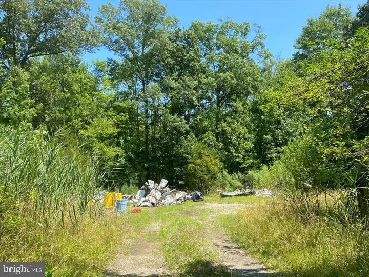 5277 Cedar St, West River, MD 20778 - Image #3