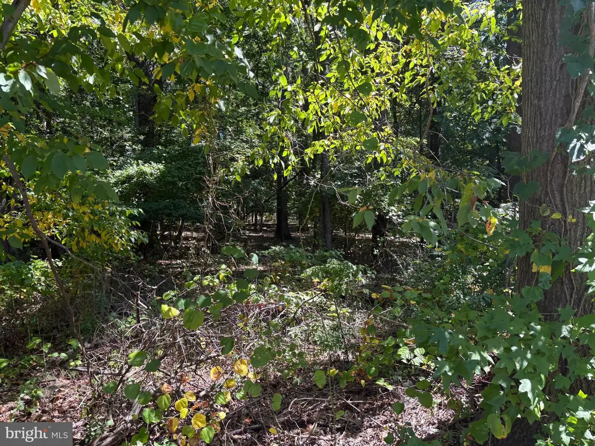 3123 Arundel On The Bay Rd, Annapolis, MD 21403 - Image #1