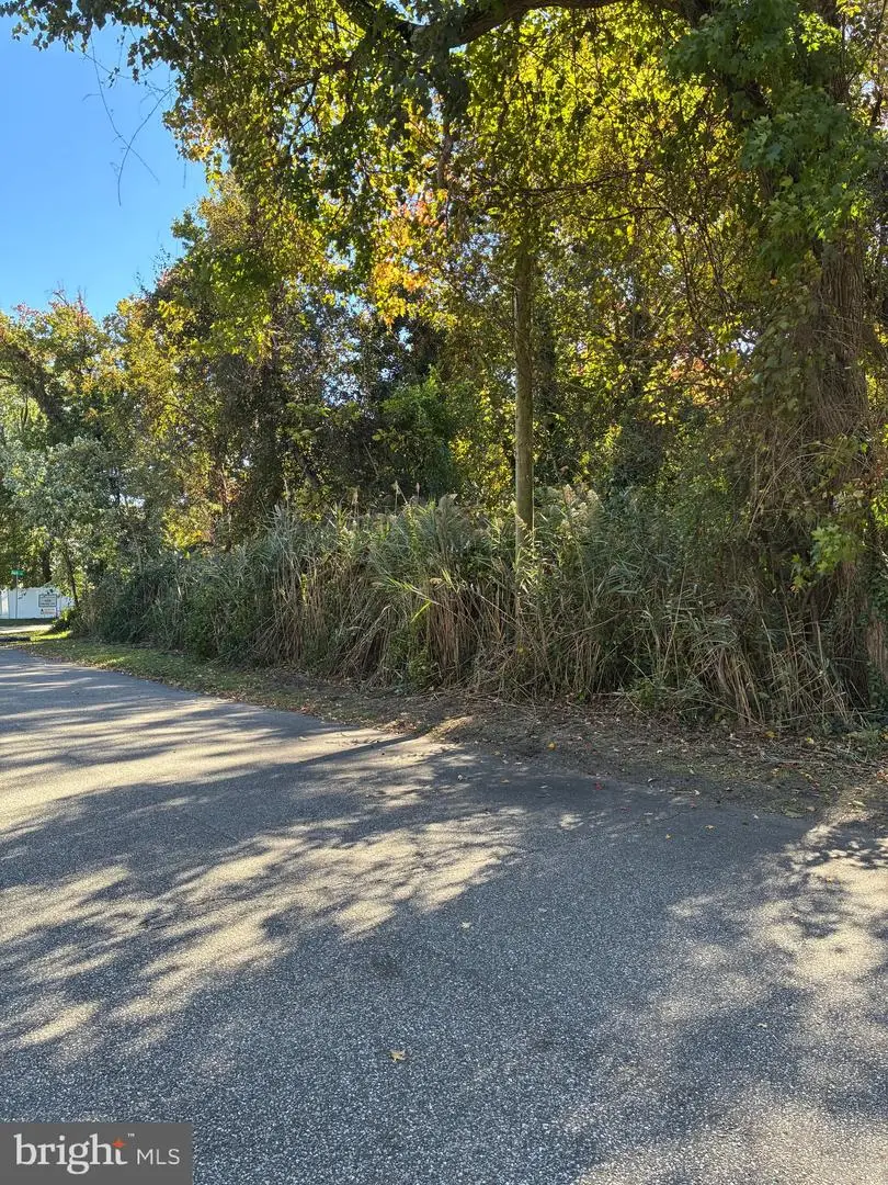 Bush Ave, Pasadena, MD 21122 - Image #2