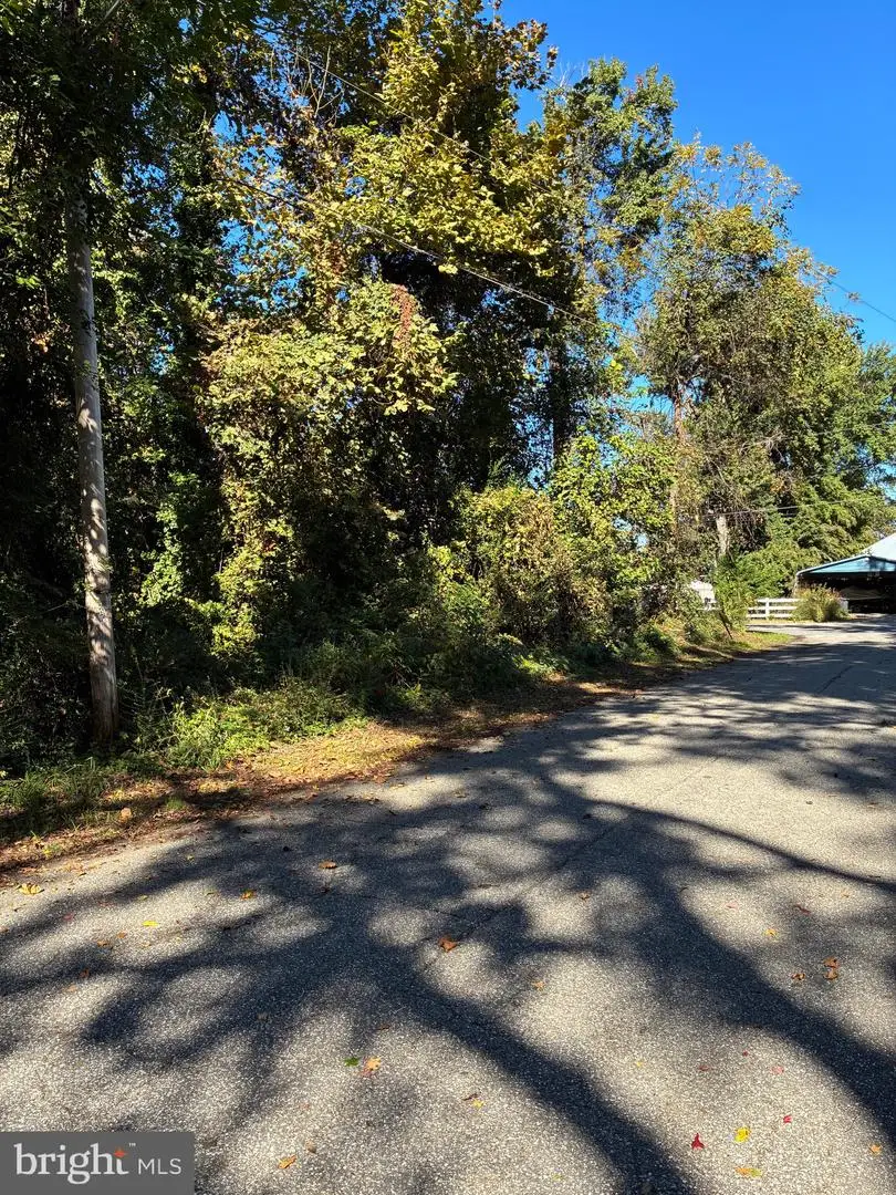 Bush Ave, Pasadena, MD 21122 - Image #3