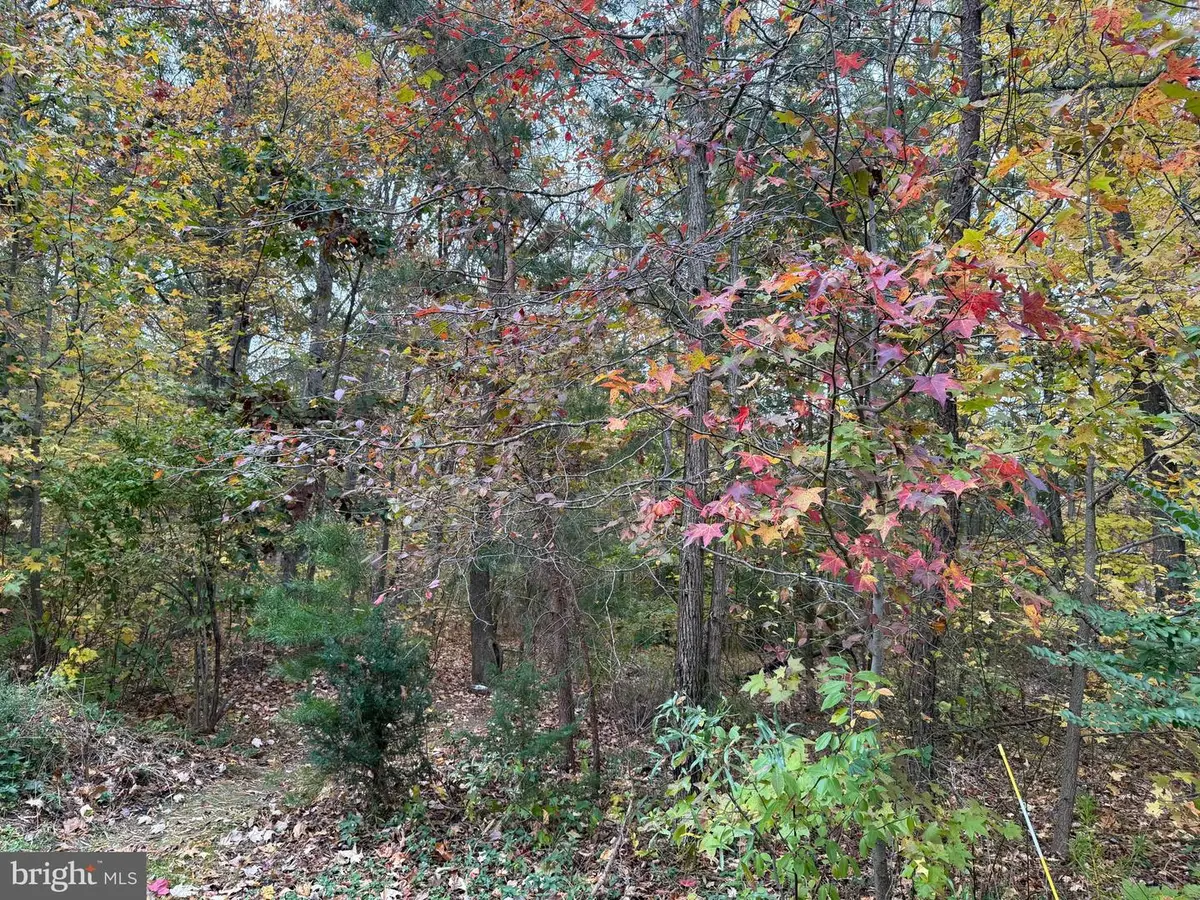 5162 Cedarlea Dr, West River, MD 20778 - Image #1