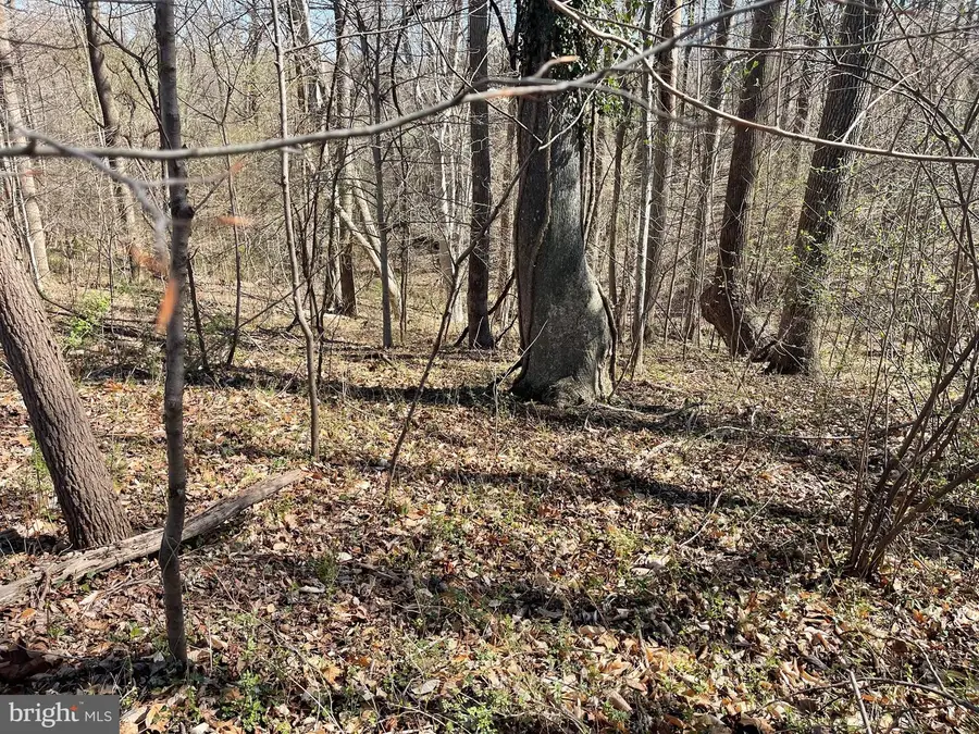 Solomons Island Rd, Harwood, MD 20776 - #2