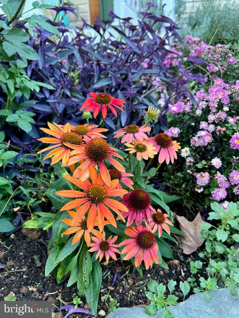 508 Bay Hills Dr, Arnold, MD 21012 - #3