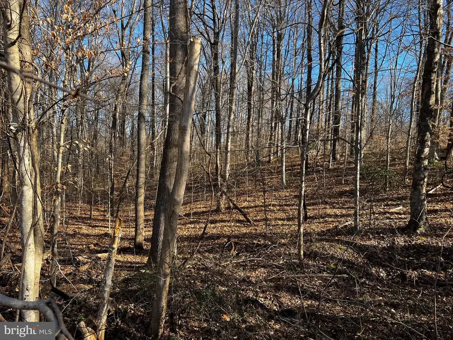 6299 Mckendree Rd, Dunkirk, MD 20754 - #2