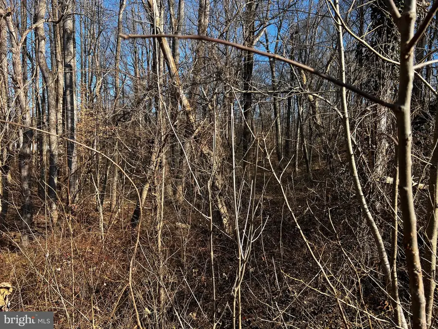 6299 Mckendree Rd, Dunkirk, MD 20754 - #3