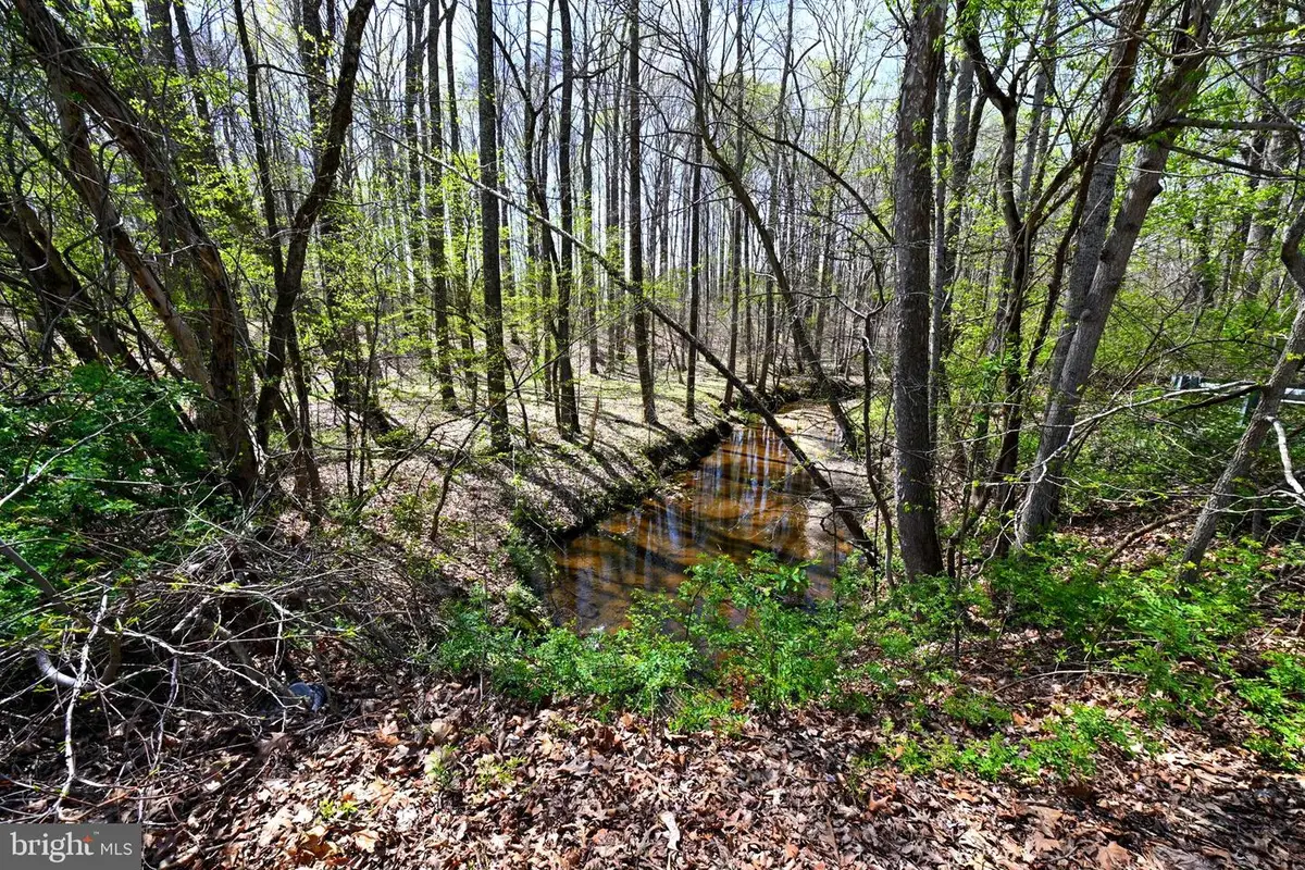 Patuxent River Rd, Davidsonville, MD 21035 - #1