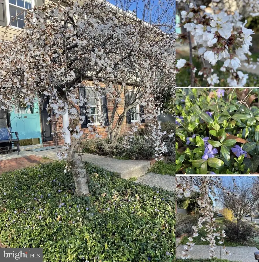 1126 Neptune Pl, Annapolis, MD 21409 - #3