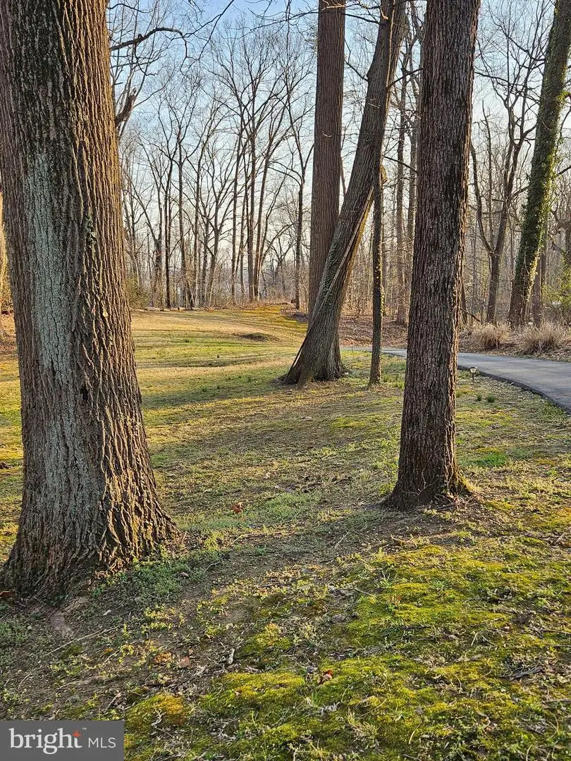 1711 Ritchie Hwy, Annapolis, MD 21409 - #3