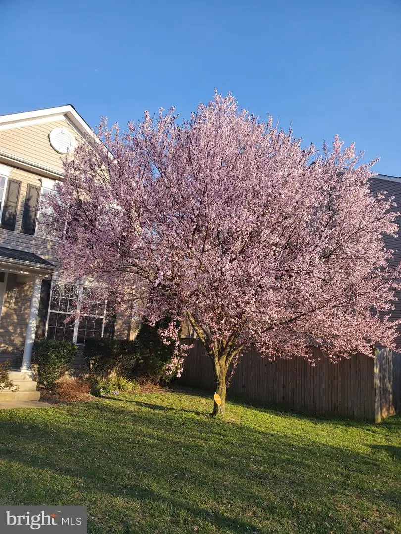 7307 Gardenia Ln, Glen Burnie, MD 21060 - #2