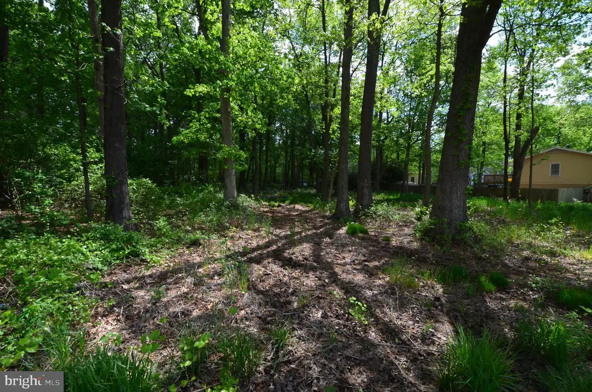 5611 Battee Dr, Churchton, MD 20733 - Image #1