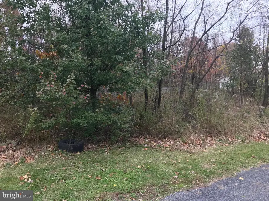 11813 Illinois Ave, Cresaptown, MD 21502 - Image #2