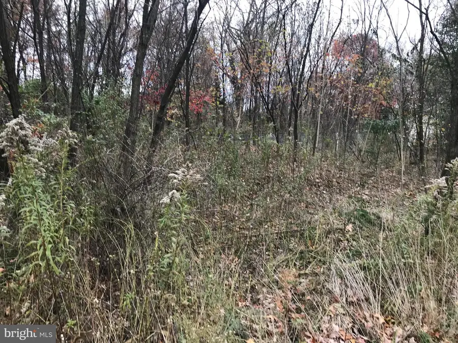 11813 Illinois Ave, Cresaptown, MD 21502 - Image #3