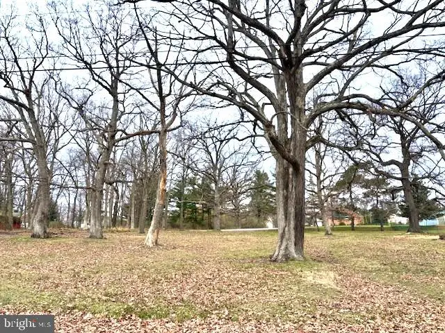 Armstrong Ave, Frostburg, MD 21532 - Image #2