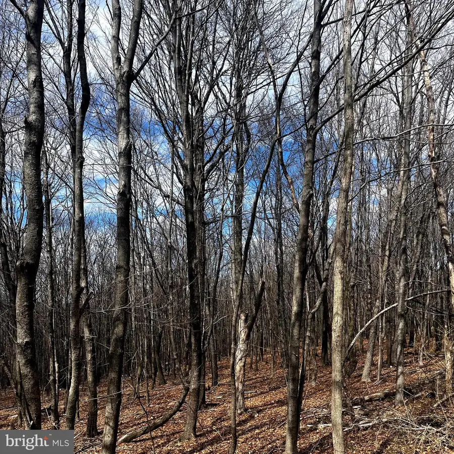 12215 Barbers Hill Rd, Frostburg, MD 21532 - Image #2