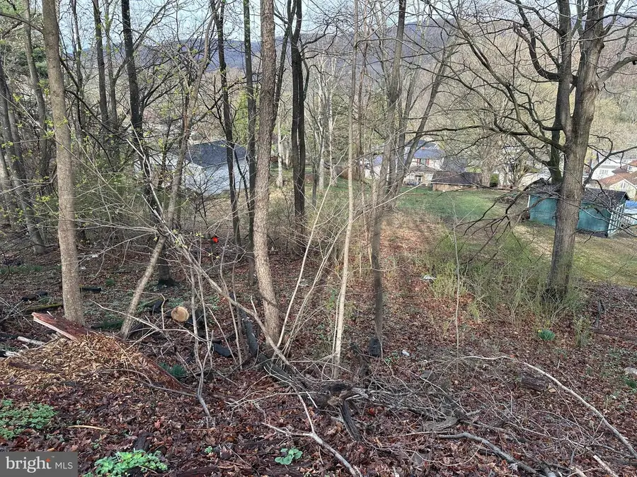 519 Georges Creek Blvd, La Vale, MD 21502 - Image #3