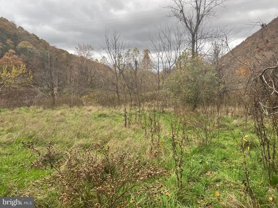 0 Westernport, McCoole, MD 21562 - Image #2