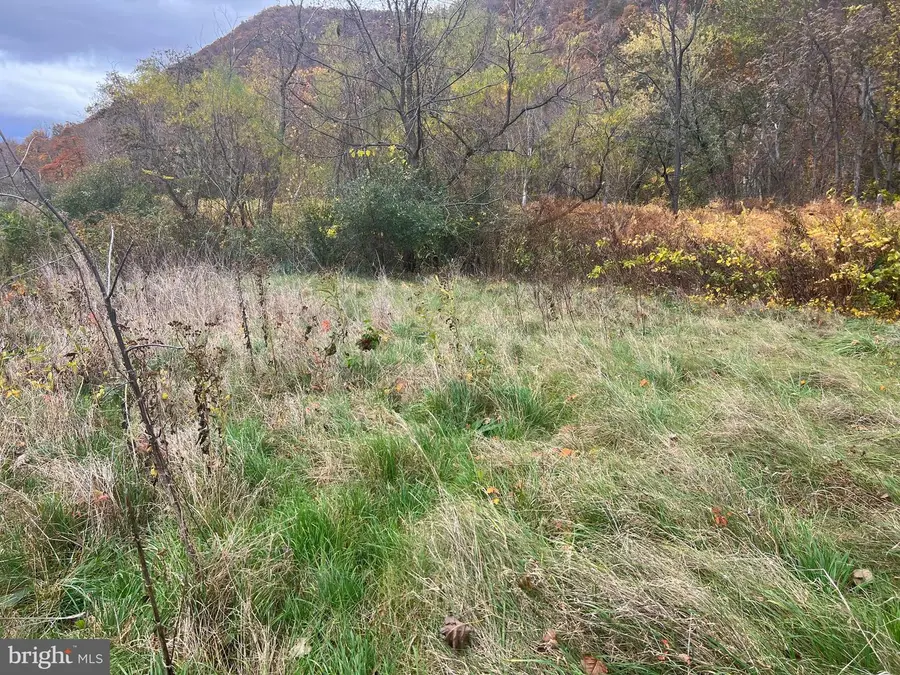 0 Westernport, McCoole, MD 21562 - Image #3