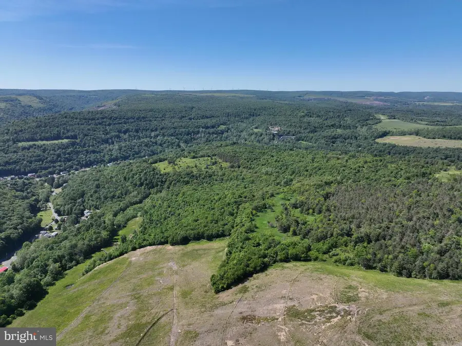 Pine Hill Rd, Lonaconing, MD 21539 - Image #3