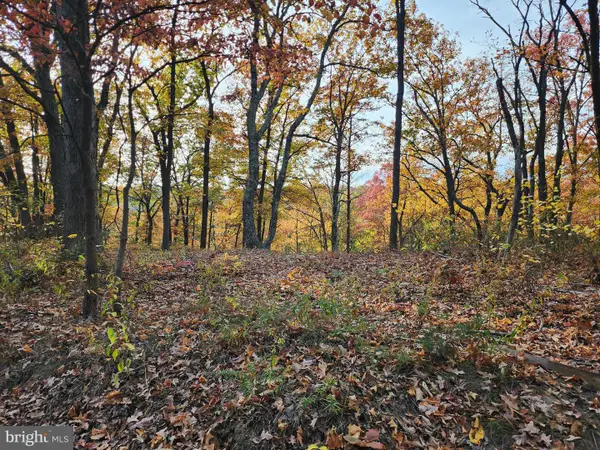 Oakwood St, CUMBERLAND, MD 21502