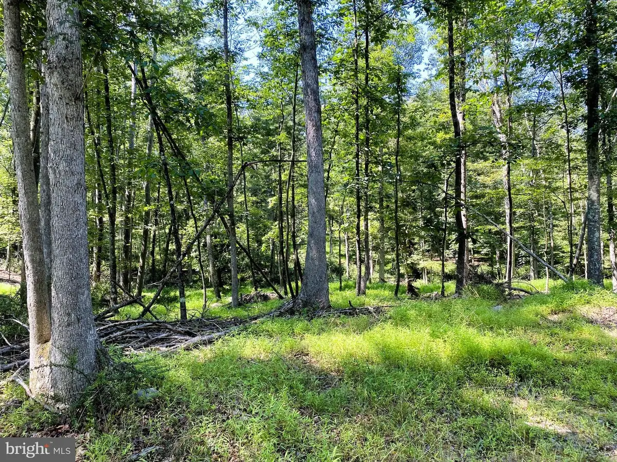 11115 Hinkle Rd Ne, Cumberland, MD 21502 - Image #1