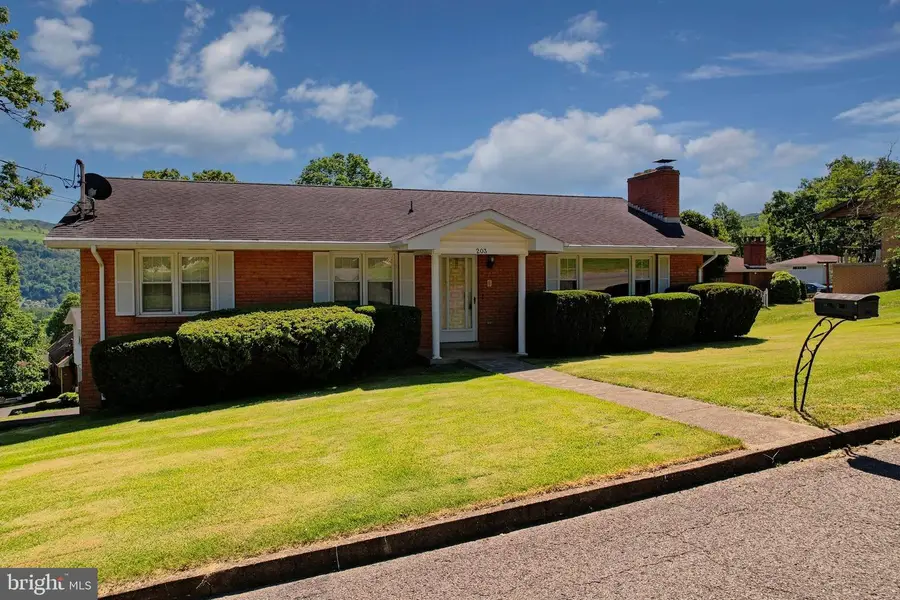203 Marsh Ave, Westernport, MD 21562 - #2