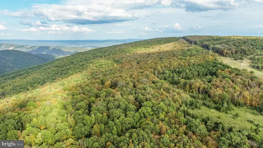 15800 Sprucewood Dr, Frostburg, MD 21532 - #3