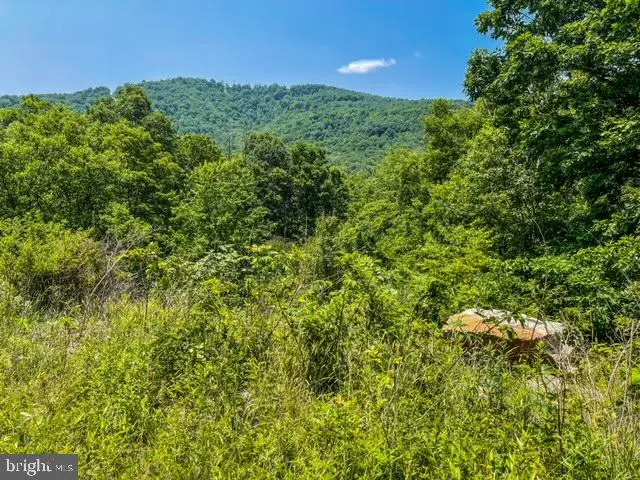 25413 Sisler Hill Rd, Westernport, MD 21562 - #1
