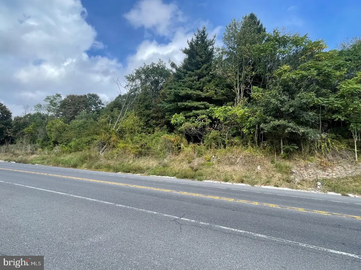 Route 40 Rd, Eckhart Mines, MD 21528 - #1